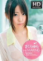 国产18p,探索中国影视产业的创新与突破